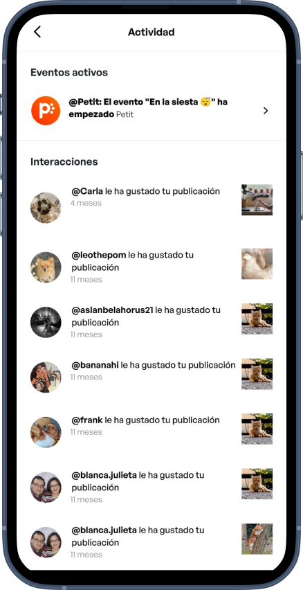 Creaci贸n de posts