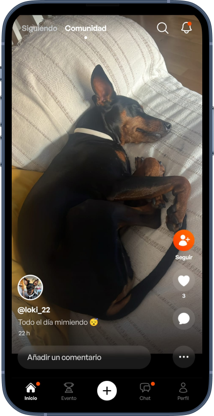 Configuraci贸n de perfil
